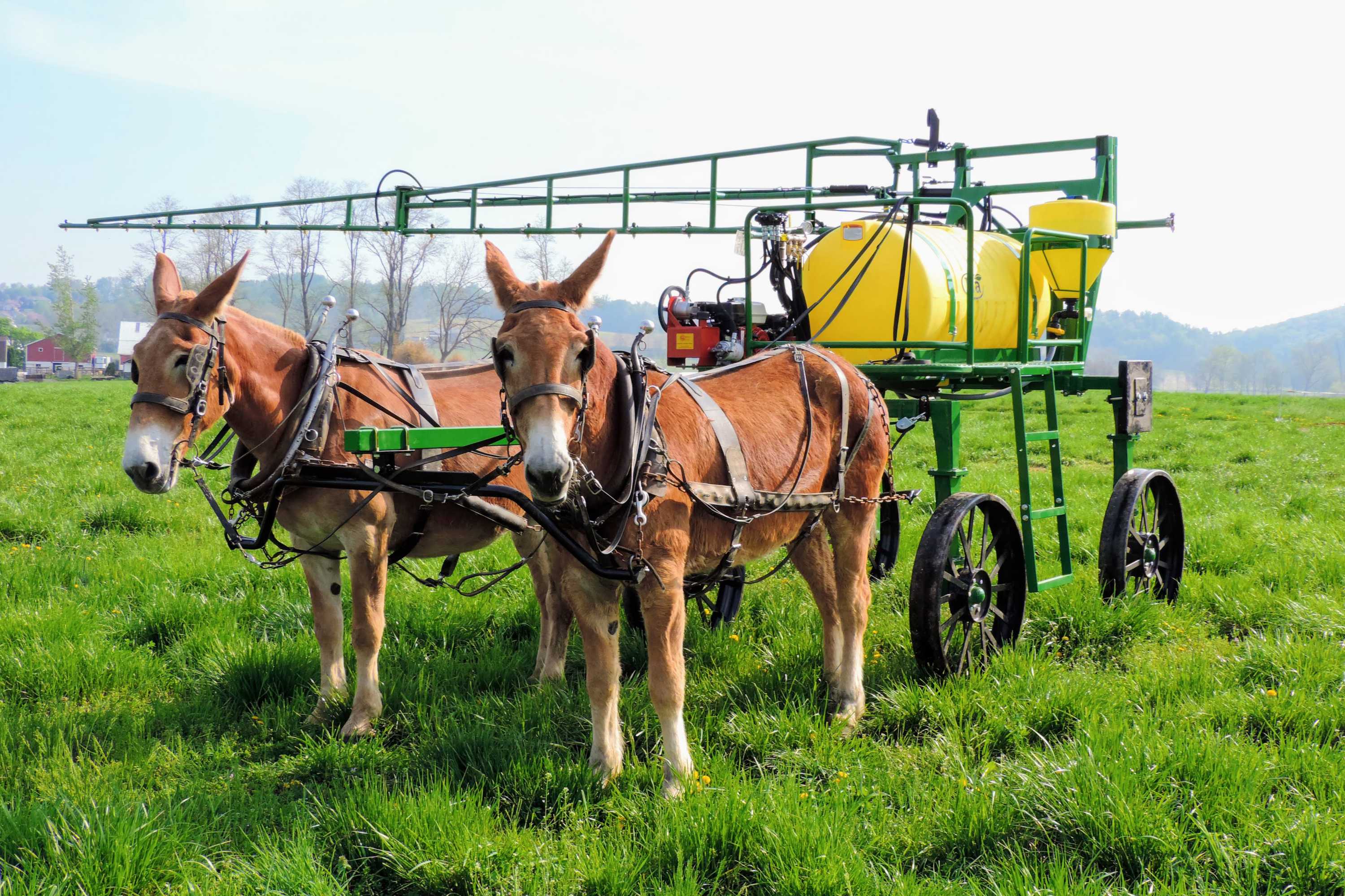 Horsedrawn Sprayers Iva Sprayers